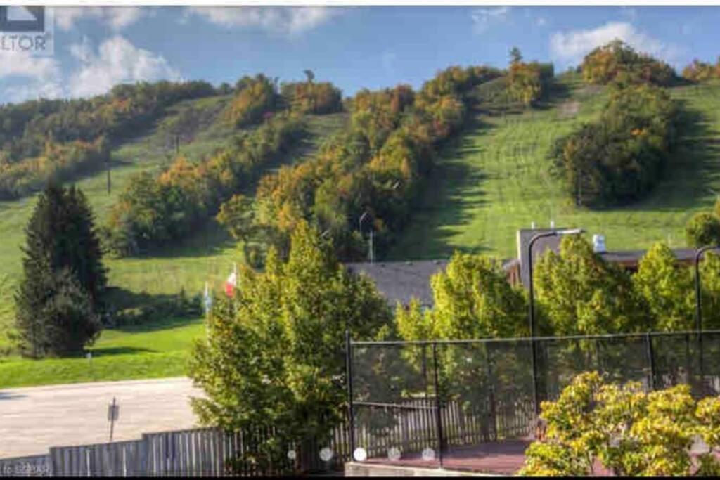 Blue Mountain Studio Oasis Blue Mountains Luaran gambar