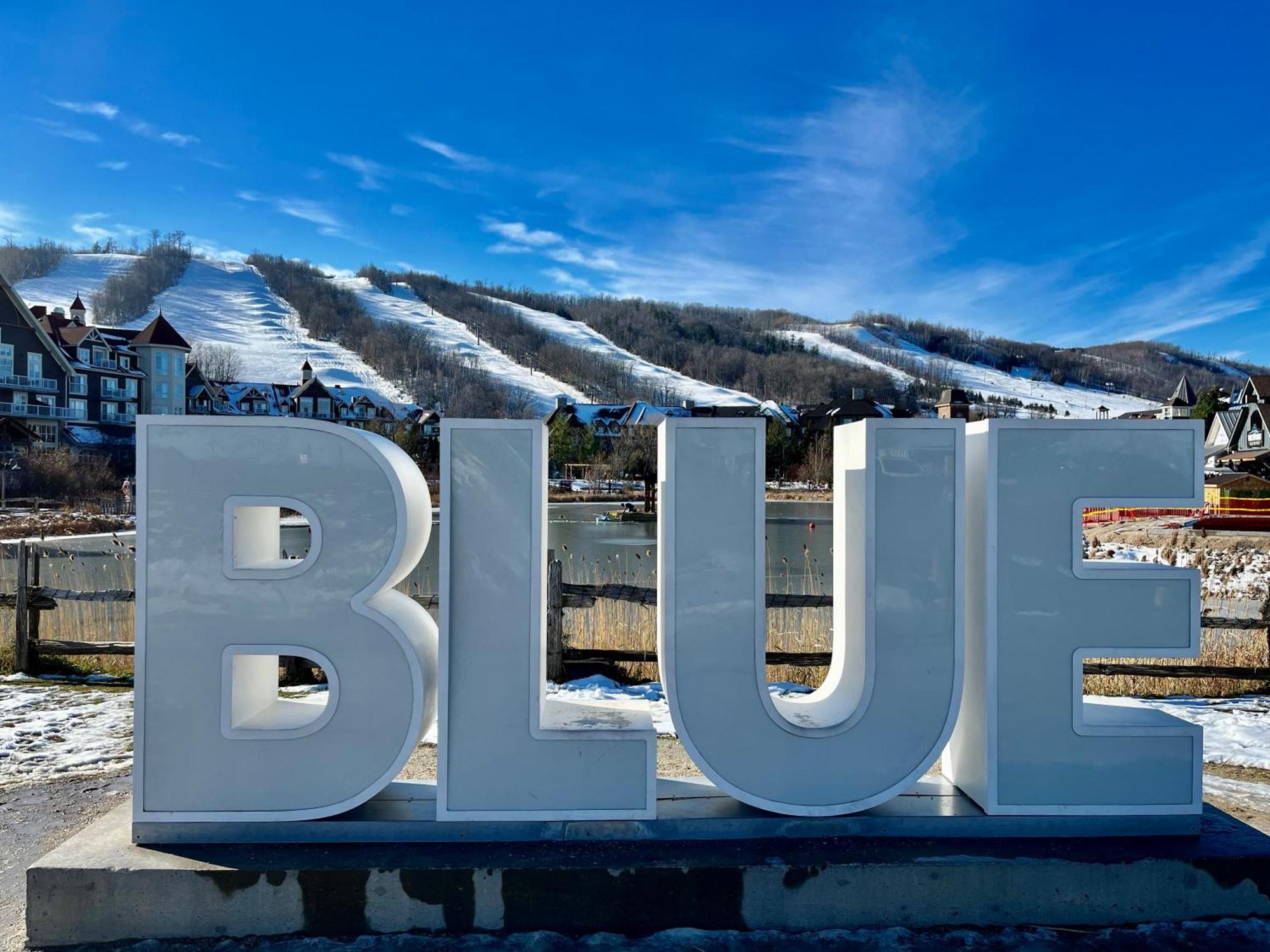 Blue Mountain Studio Oasis Blue Mountains Luaran gambar