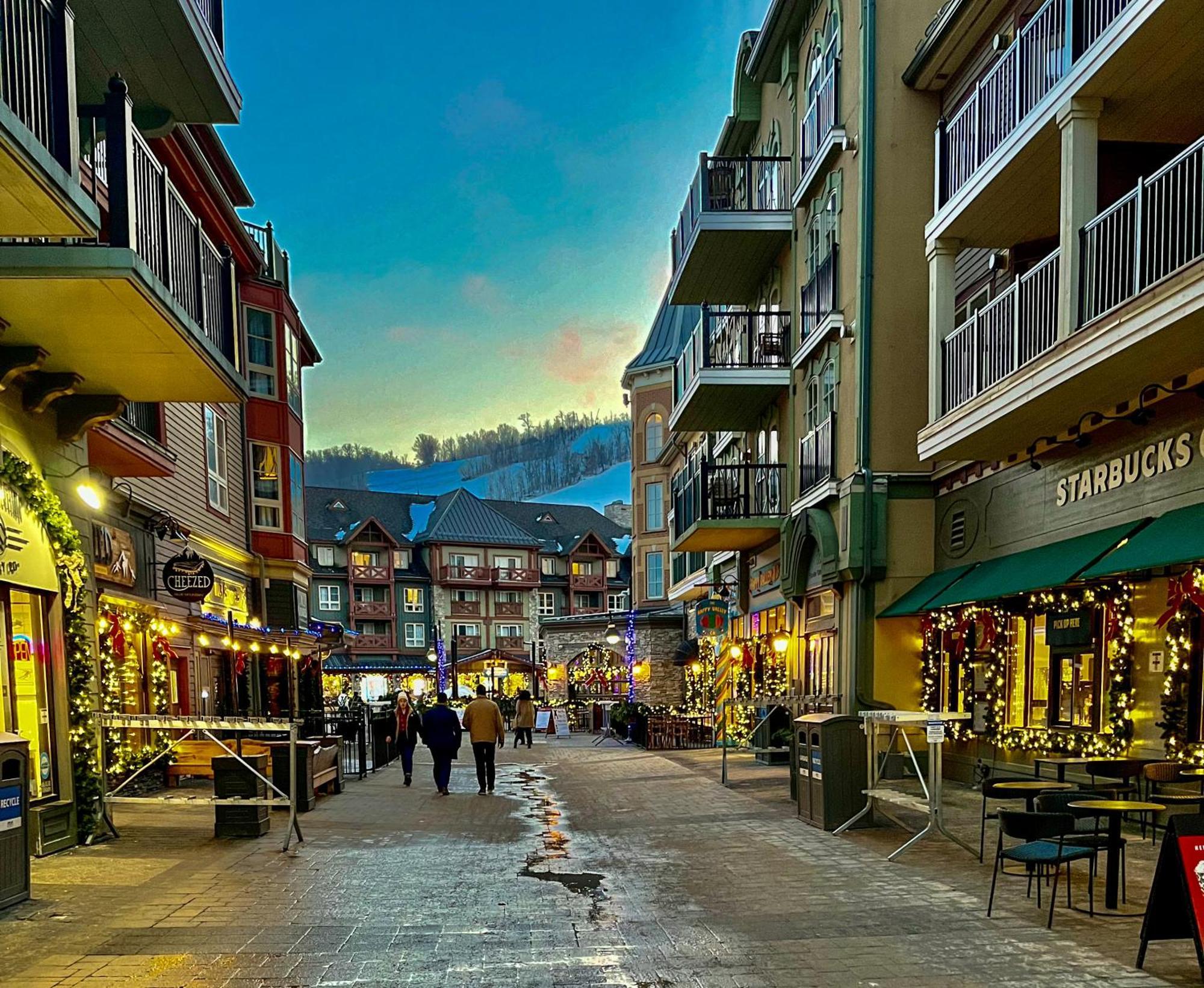 Blue Mountain Studio Oasis Blue Mountains Luaran gambar