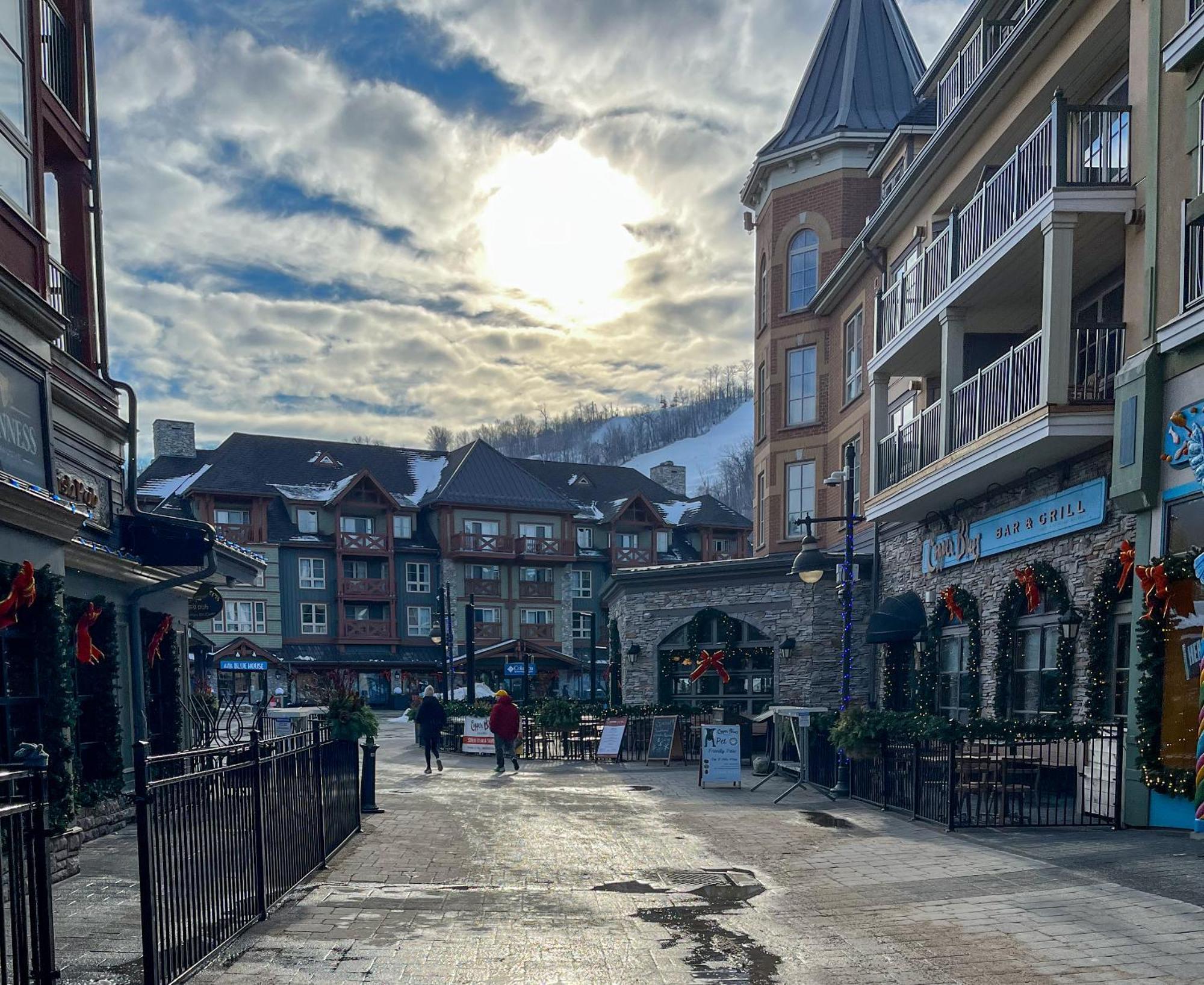 Blue Mountain Studio Oasis Blue Mountains Luaran gambar