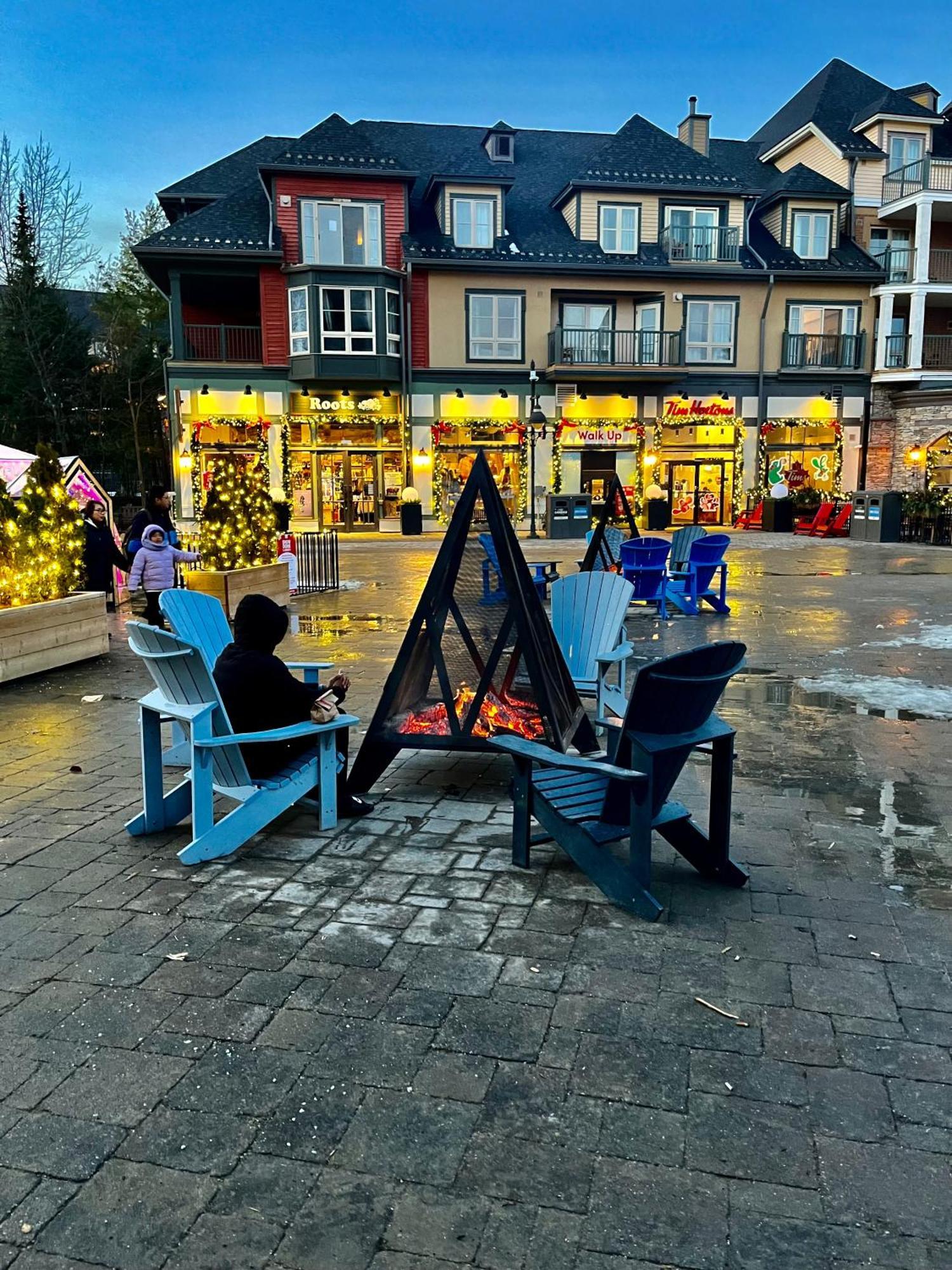 Blue Mountain Studio Oasis Blue Mountains Luaran gambar